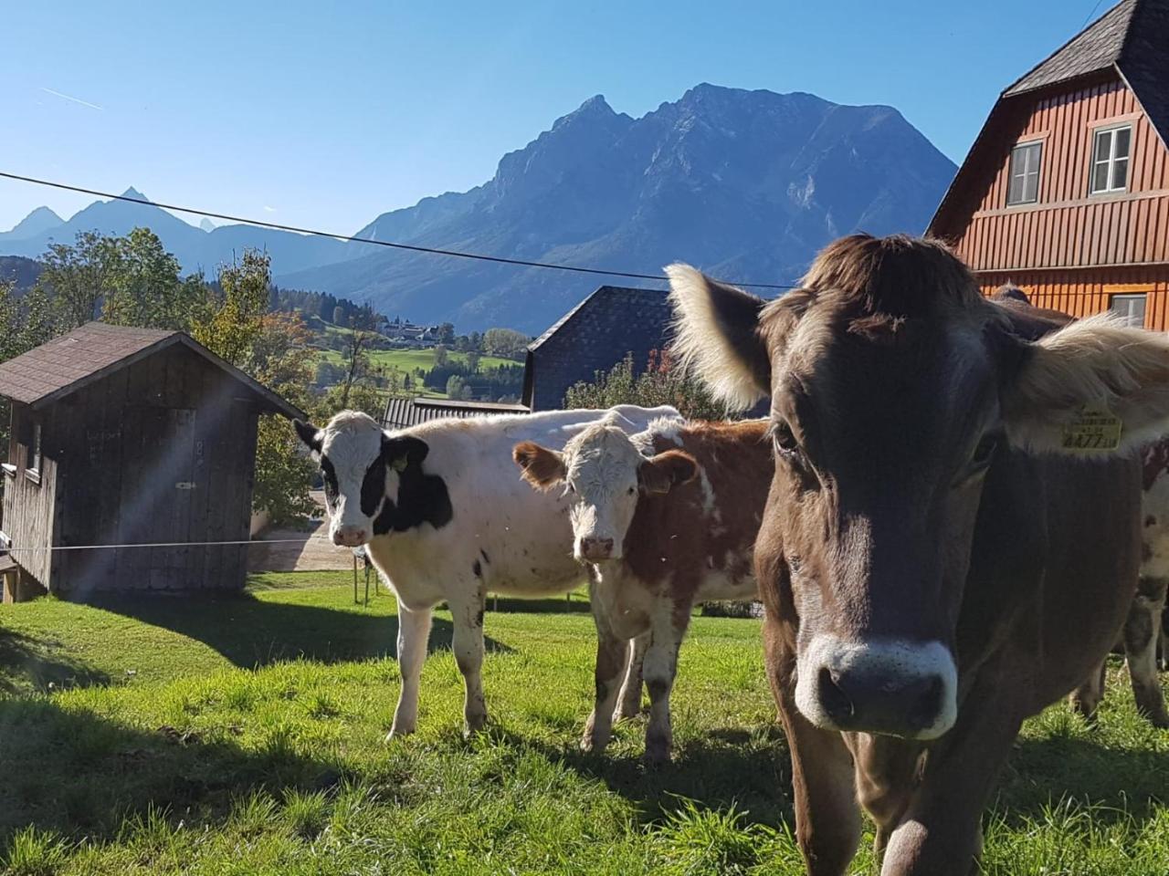 Villa Hüttstädterhof Familie Pötsch Aigen im Ennstal Exterior foto
